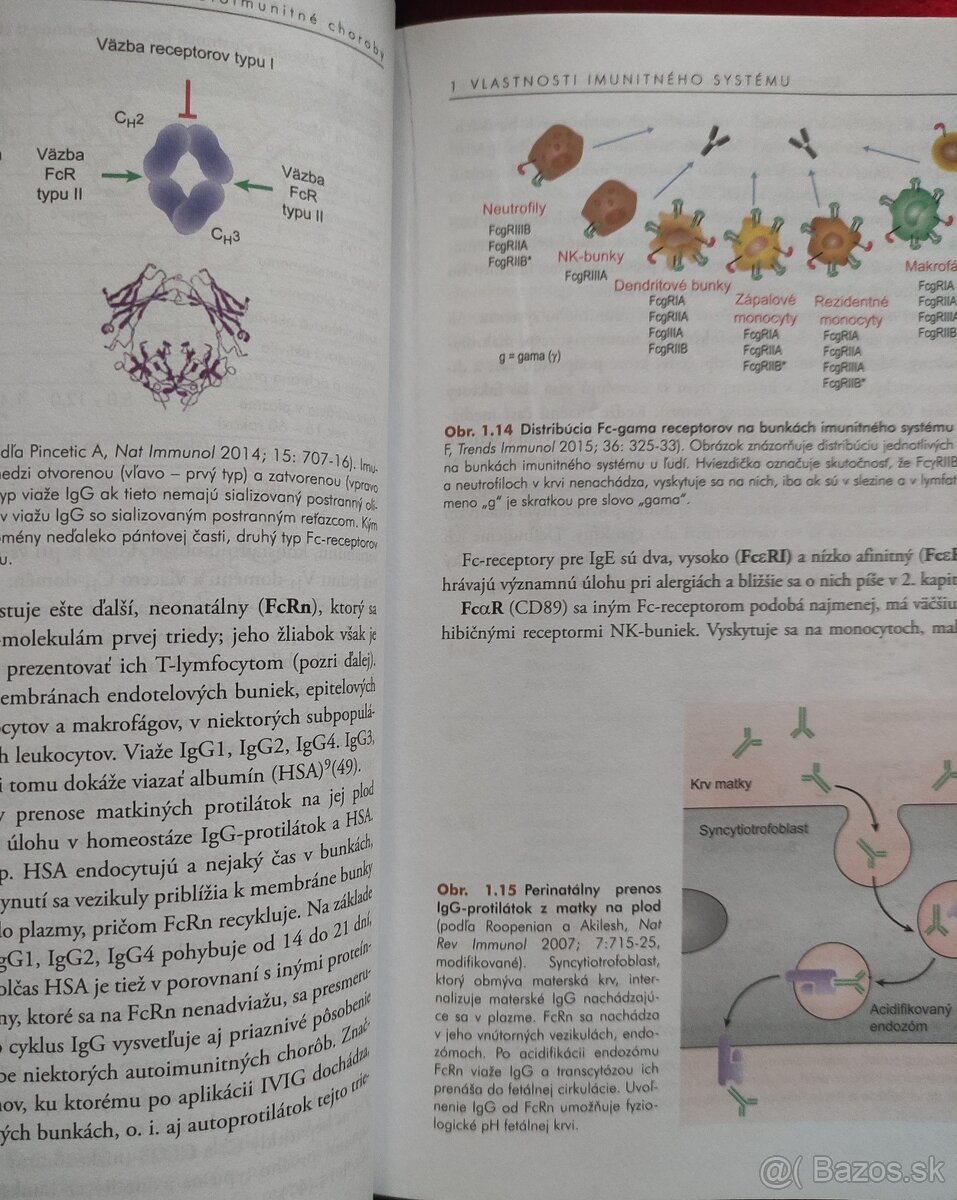 Autoimunita a autoimunitné choroby-Milan Buc - 6