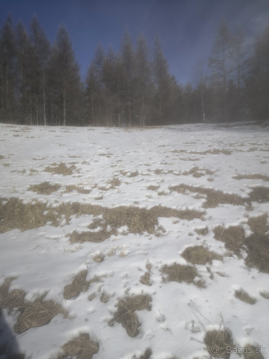 Rozpredam Volvo V40 a S40 - 6