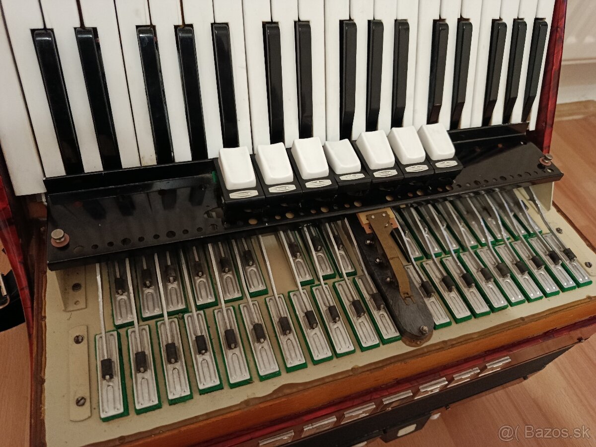 Delicia Carmen III, 96bas - 6