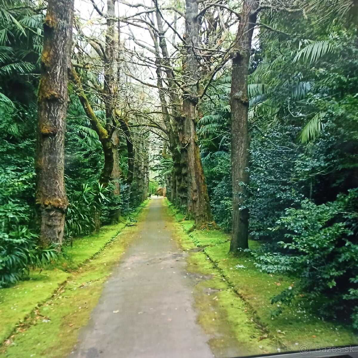 Hisense smart led tv50(125) - 6