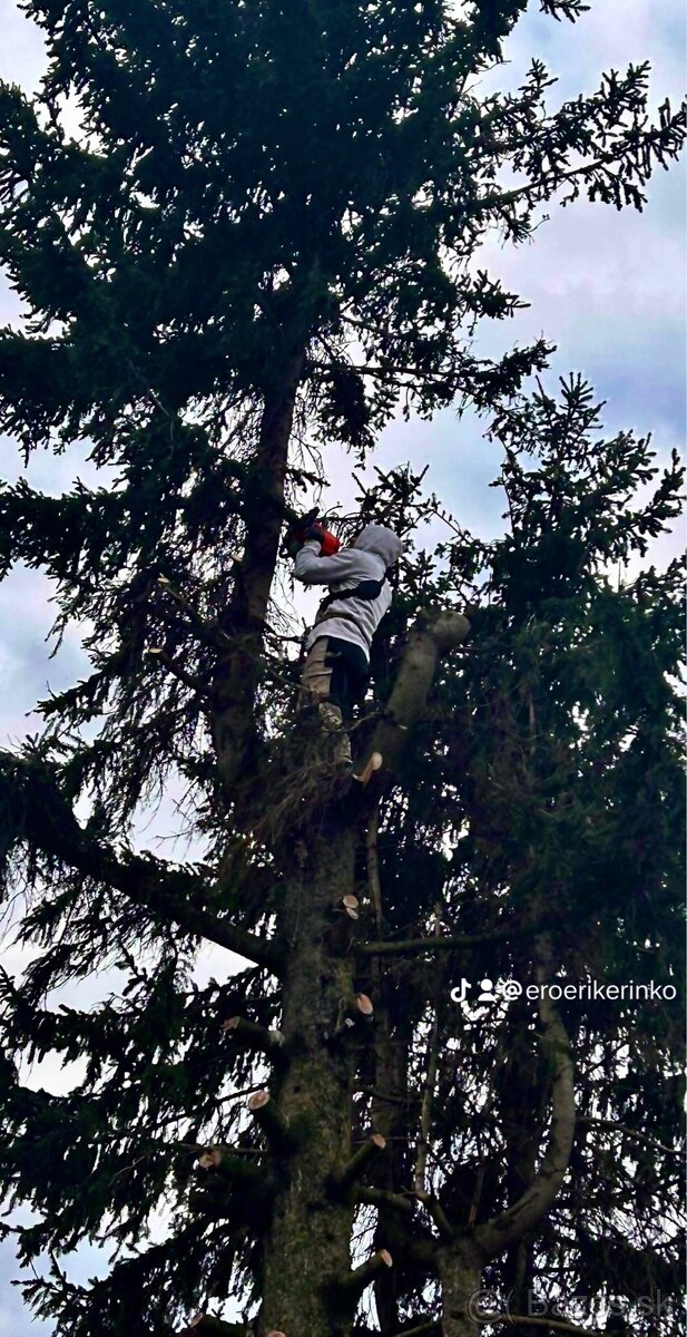 PONÚKAM OREZAVANIE A VÝRUB STROMOV - 6