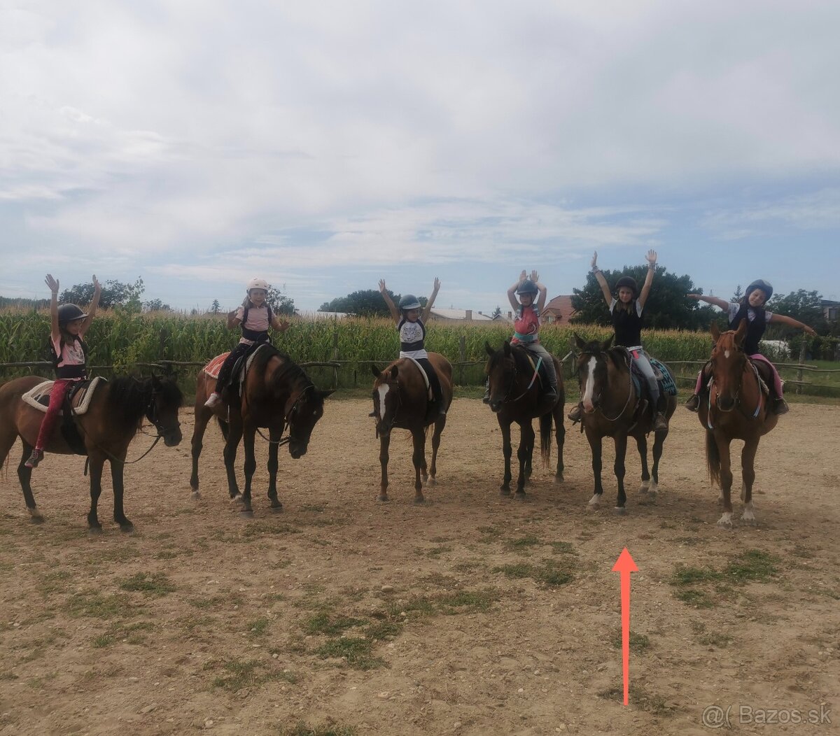 Kobyla appaloosa - 6