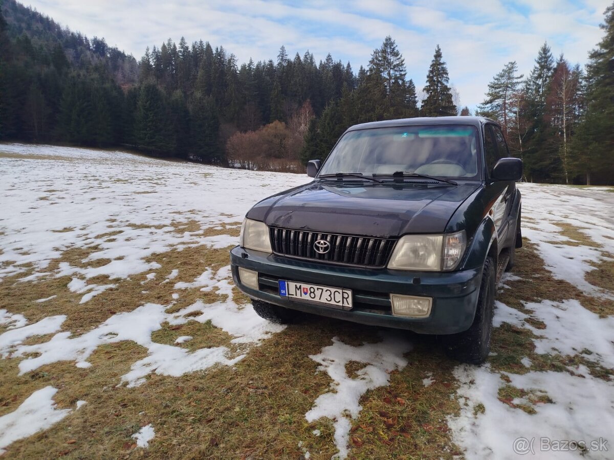 Predam Toyota Landcruiser 90 - 6