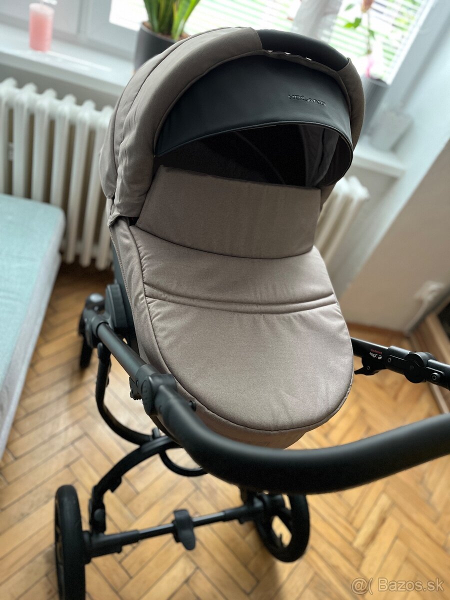 Kočik Bebetto Holland - 6