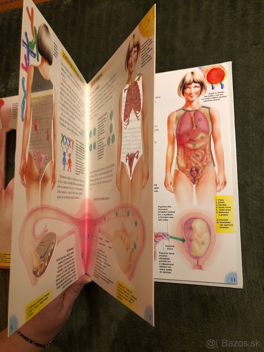 Tintin, Táborenie a iné - 6