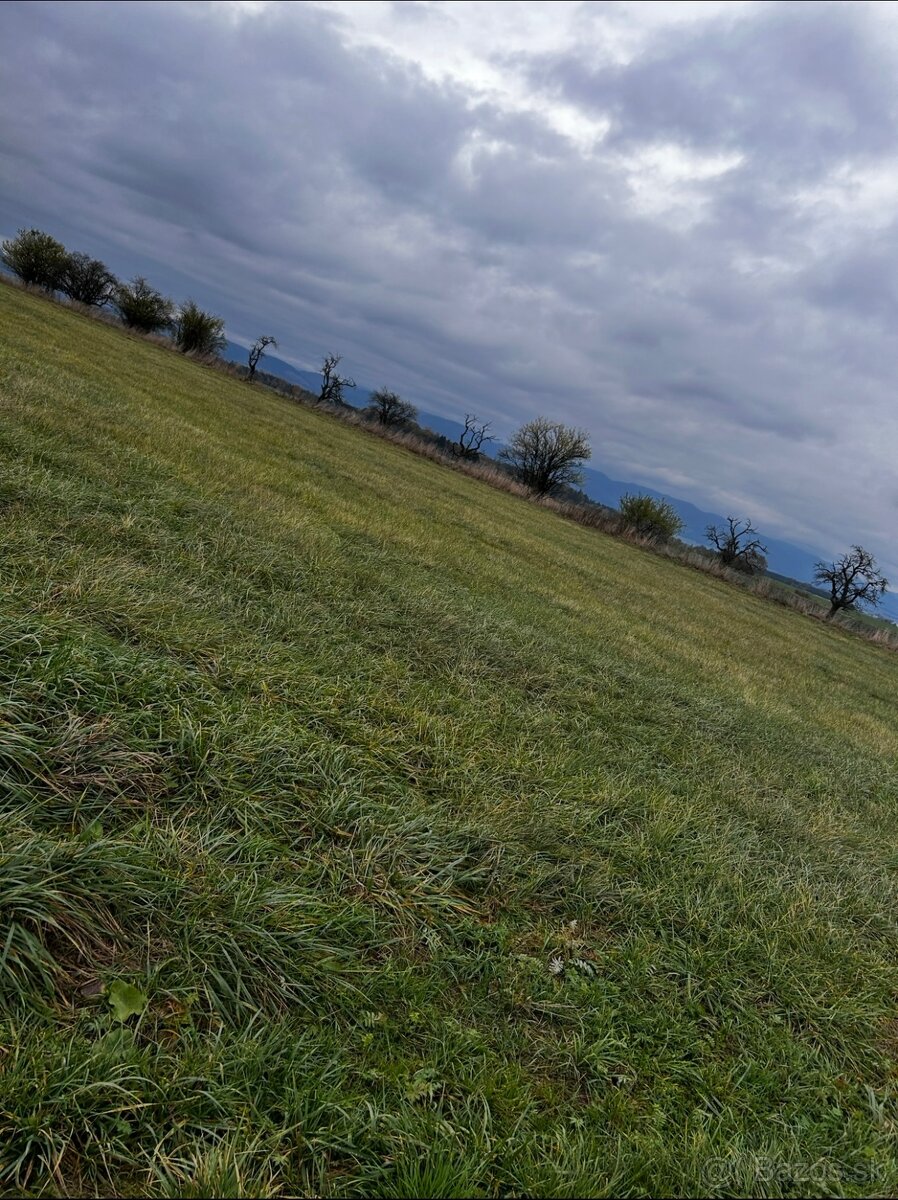 Predaj pozemku alebo prenájom - 6