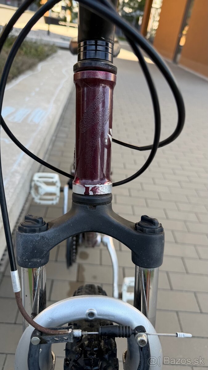 Horsky bicykel specialized - 6