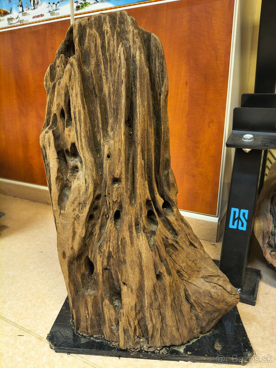koreň do akvária driftwood - 6