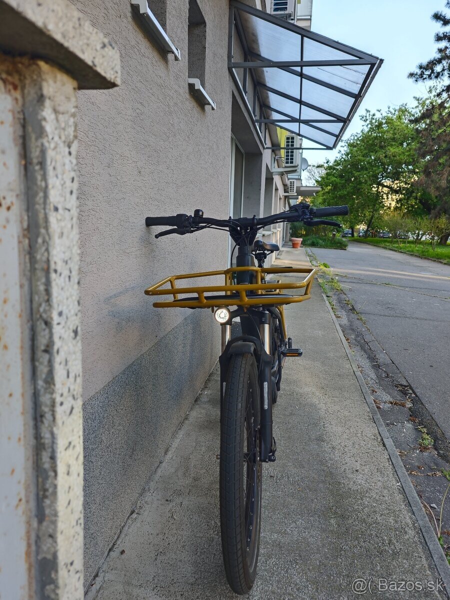 Riese und Muller Multicharger 2 - 6