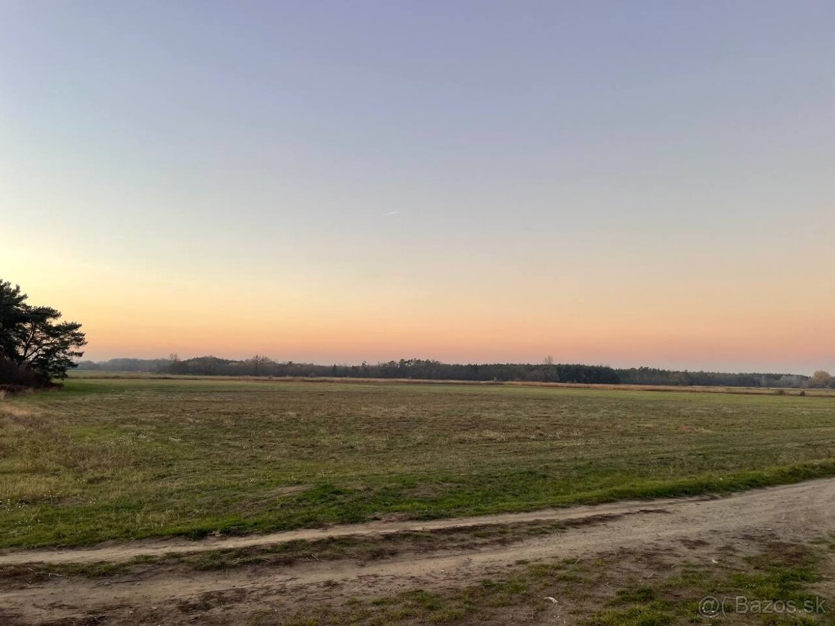 Veľký Pozemok 45 172 m² pri Malých Levároch - 6