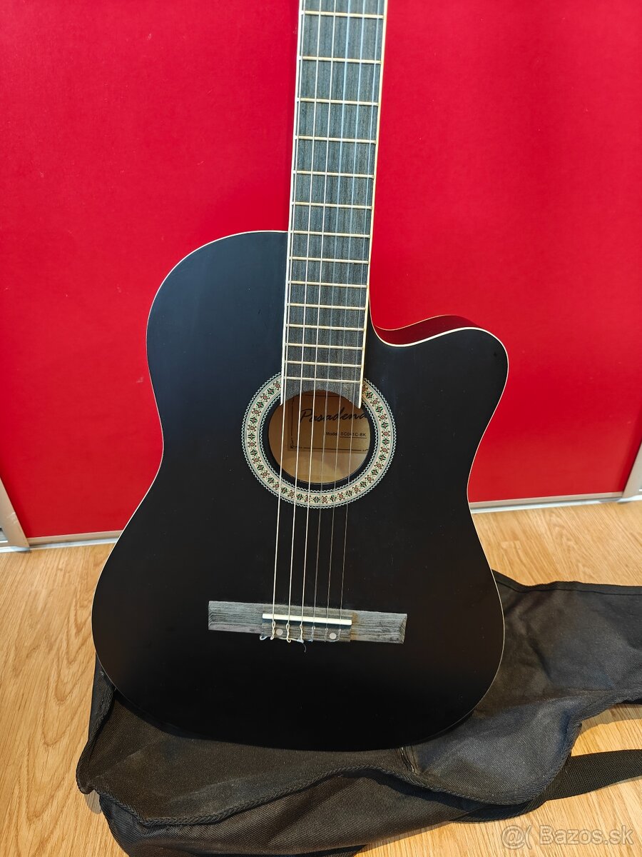 Čierna gitara, Pasadena + príslušenstvo - 6