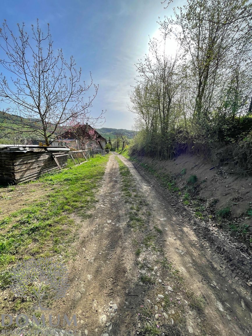 Prenájom - rekreačný pozemok 740 m² – Zemianske Podhradie - 6