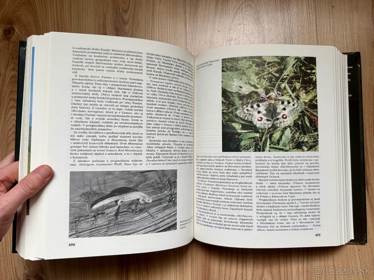 Kniha: Bolfík Július - Gemer Malohont I Príroda - 6