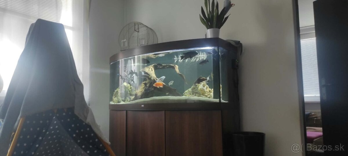 Akvarium - 6