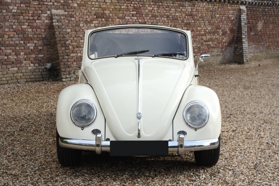 Volkswagen Beetle - 6