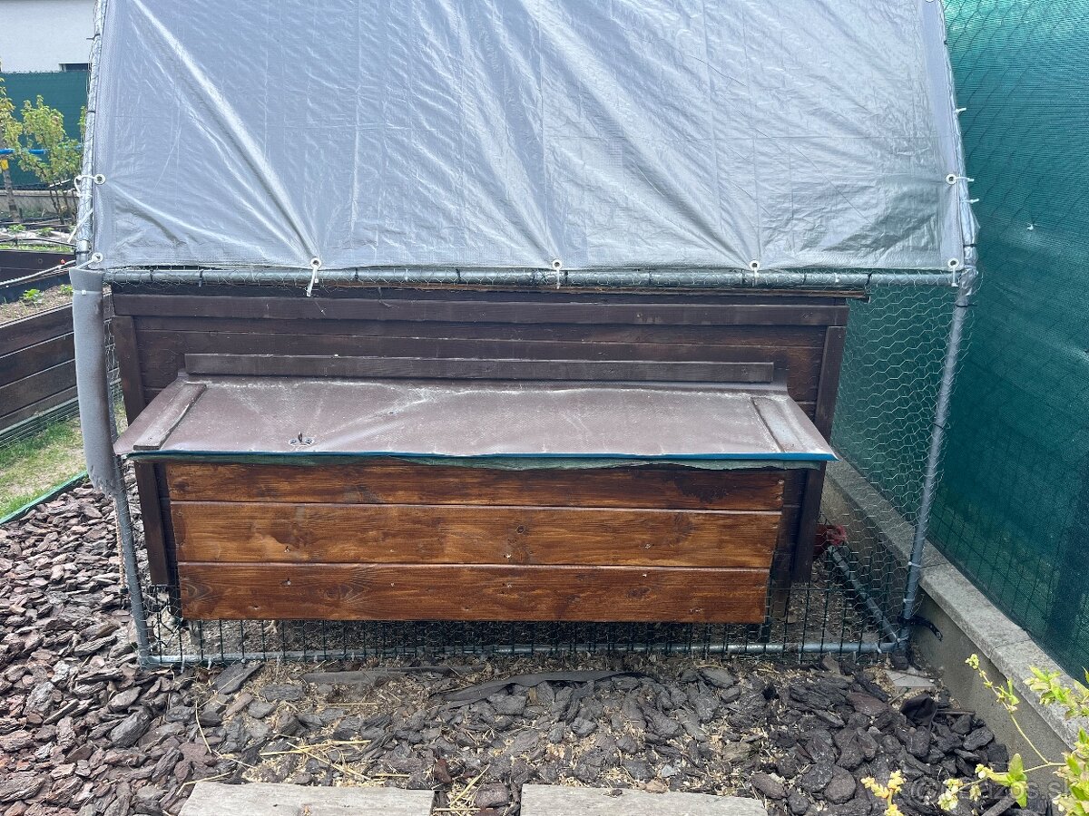 predam sliepky brown nick - 6