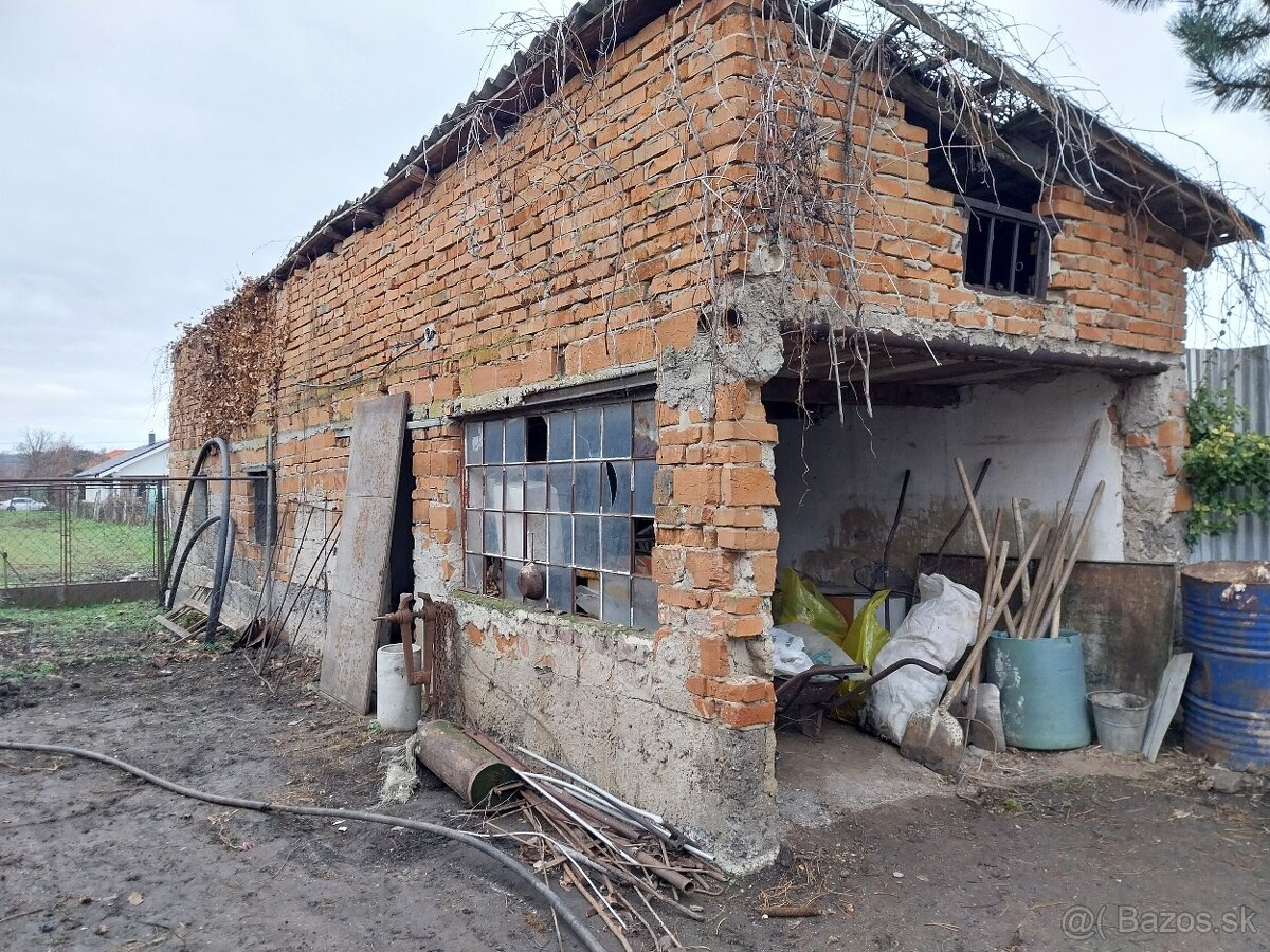 Predaj pozemku so starým domom-Čechynce - 6
