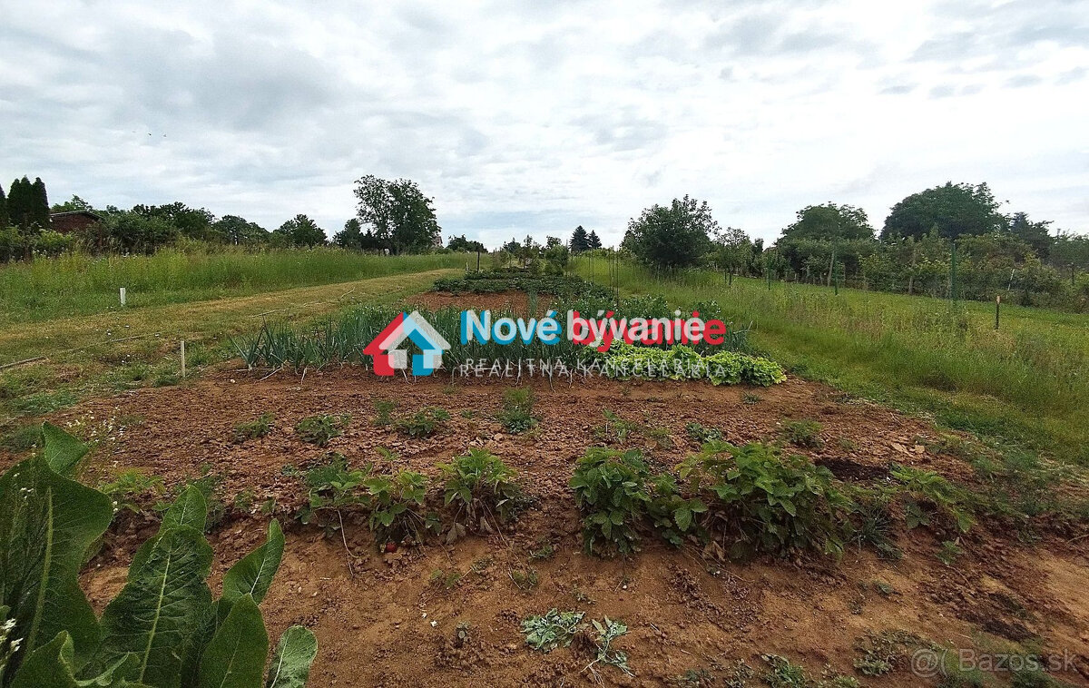 Predaj, záhradná chatka s pozemkom - Levice /Strážny vrch (N - 6