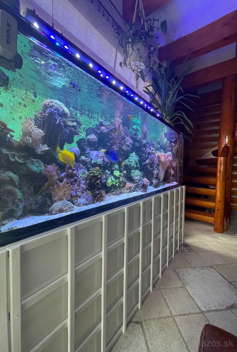 Morske akvarium - 6
