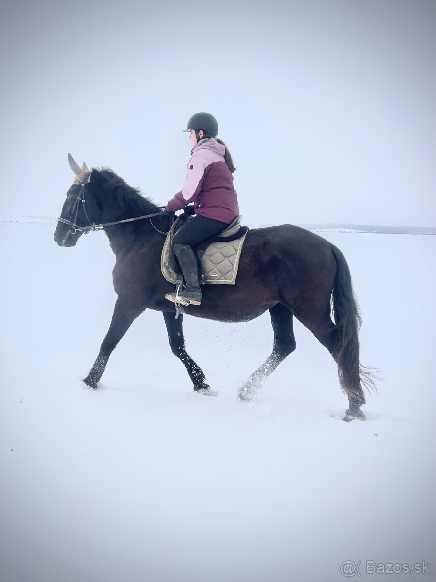 Kobyla s PP aj pre zaciatocnika - 6