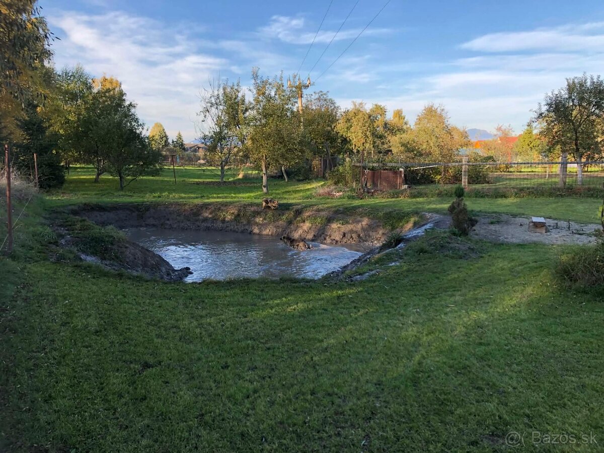 Dvojgeneračný dom v Košťanoch nad Turcom - 6