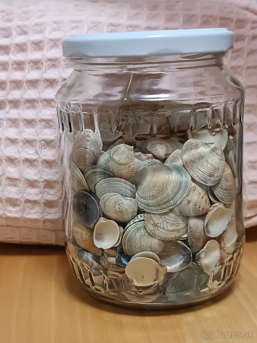 Dekoračné mušle - 6