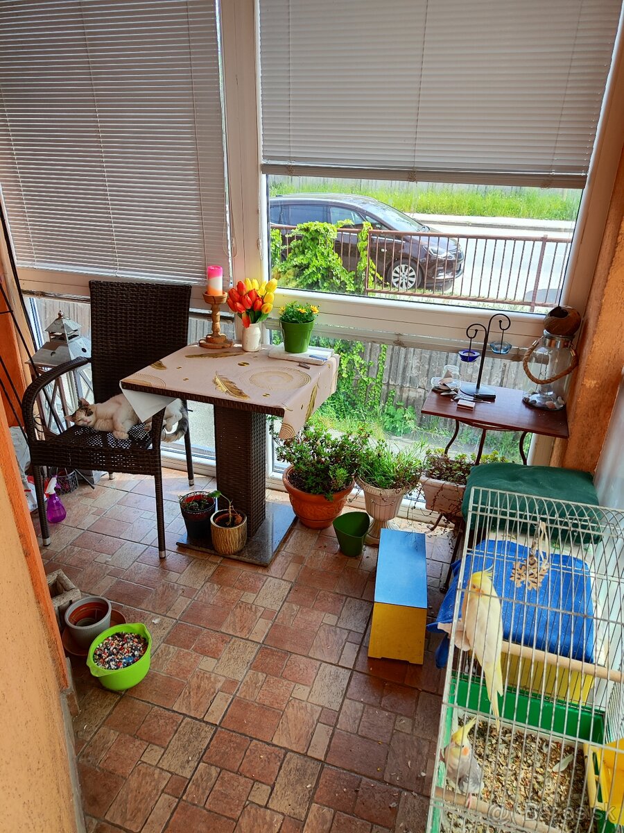 Veľký rodinný dom - Košice - Staré mesto - 6