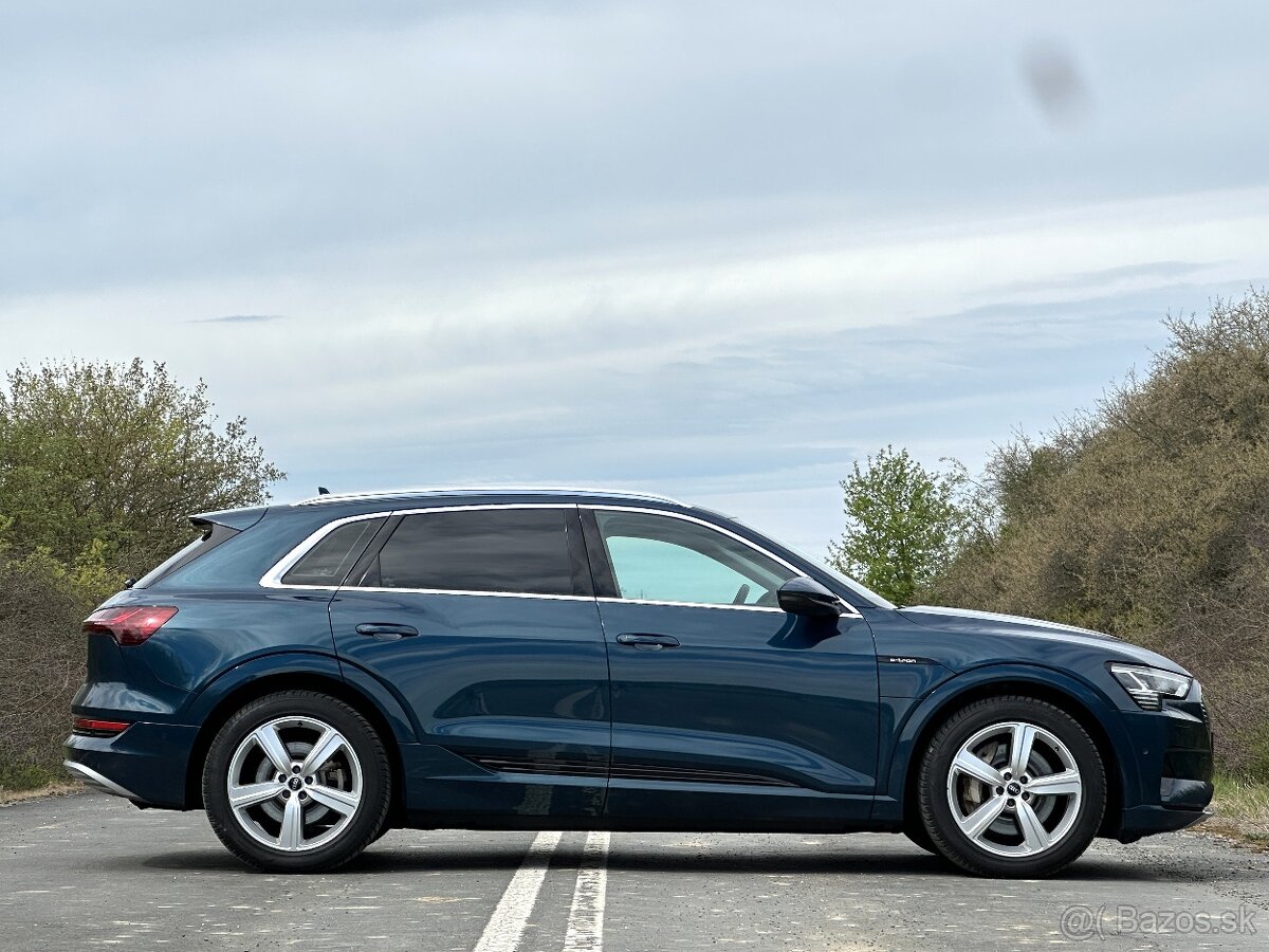 Audi E-tron 50 quattro Launch Edition 230kW 313 PS - 6
