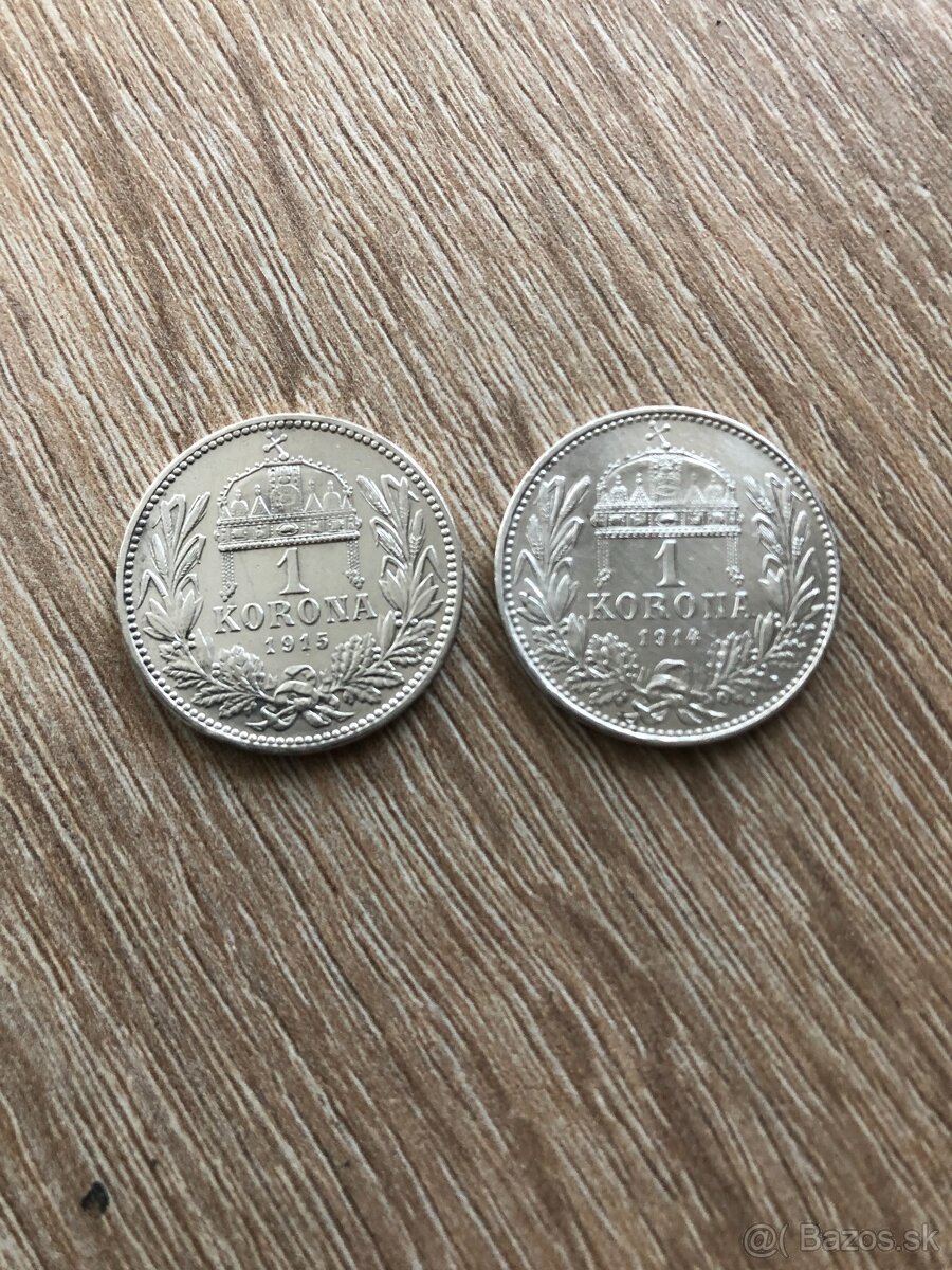 1 koruna Rakúsko a 1 koruna uhorsko - 6