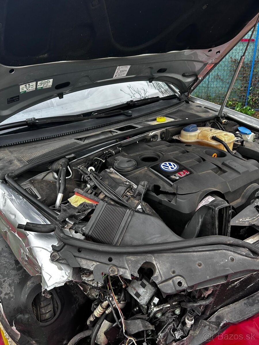 VW PASSAT 1.9 TDI 4Motion - 6