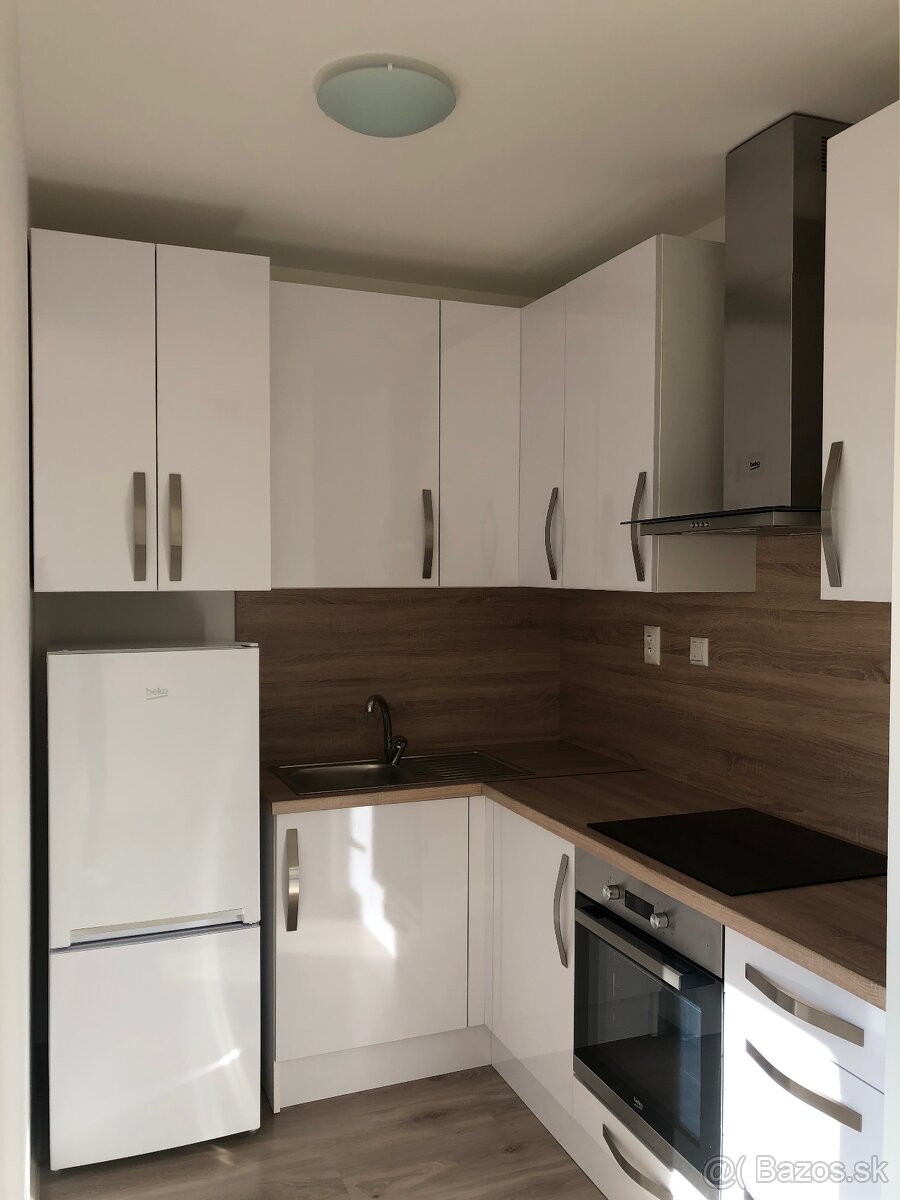 Prenájom 1 izbovy byt - 6