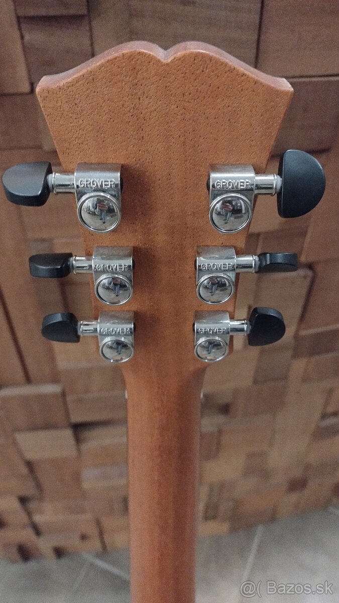 Dowina Sauvignon DE - Fishman el. - 6