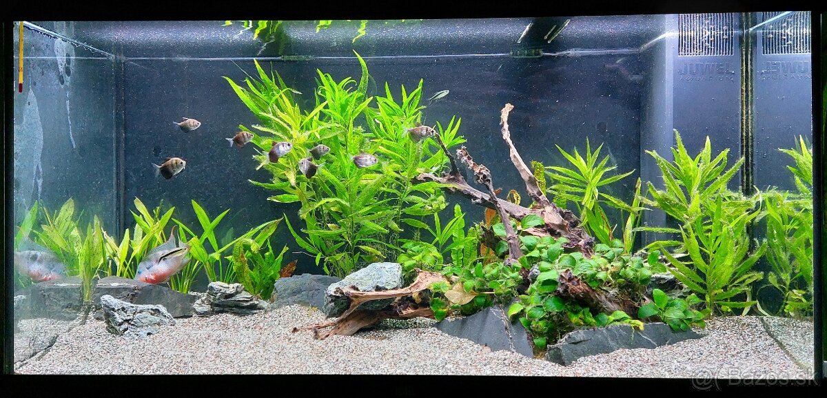 JUWEL RIO 350 LED - 6