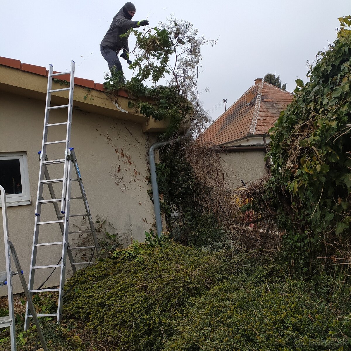 Záhradnícke práce, záhradnícke služby - 6