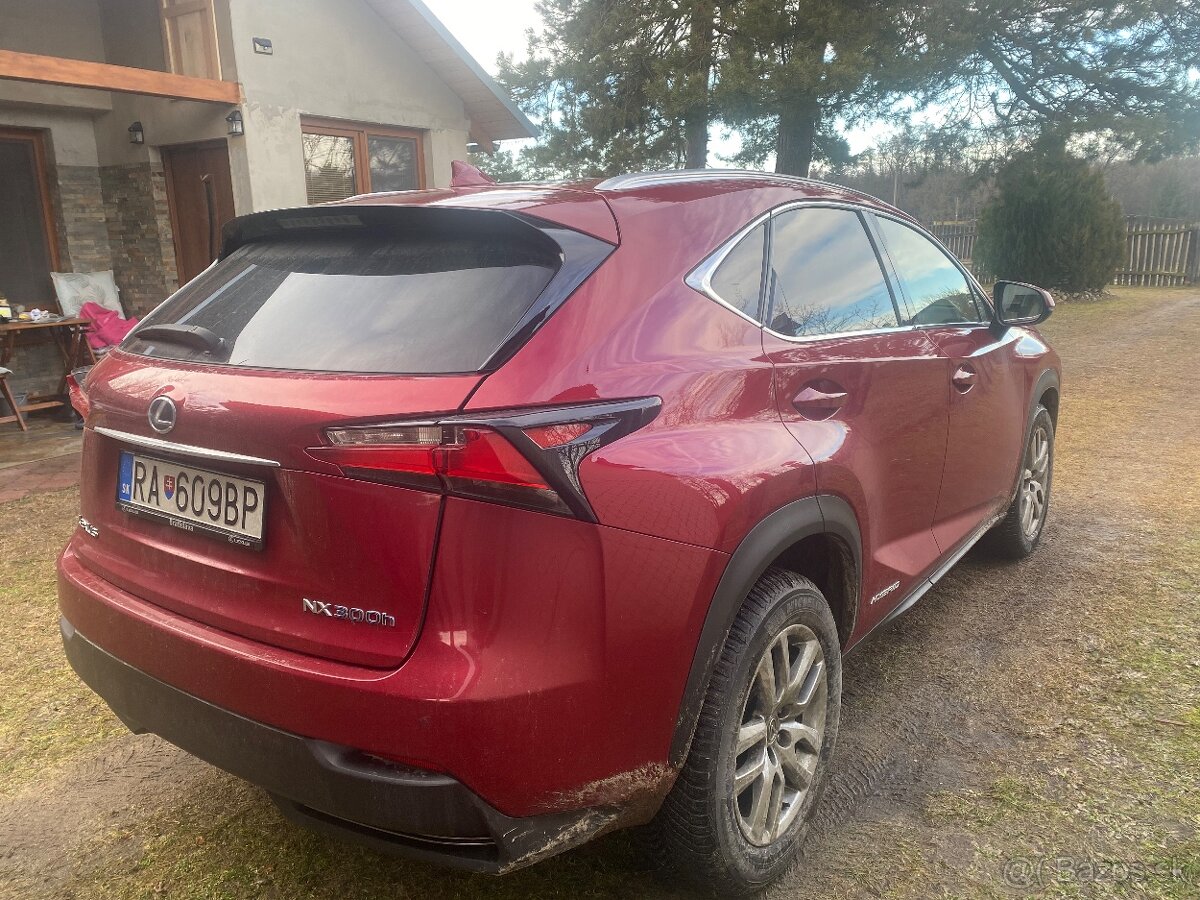 LEXUS NX 300h 4C4 - 6