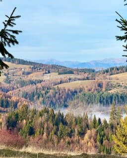 Stavebné pozemky - 110 000 m2 - Lom nad Rimavicou - 6