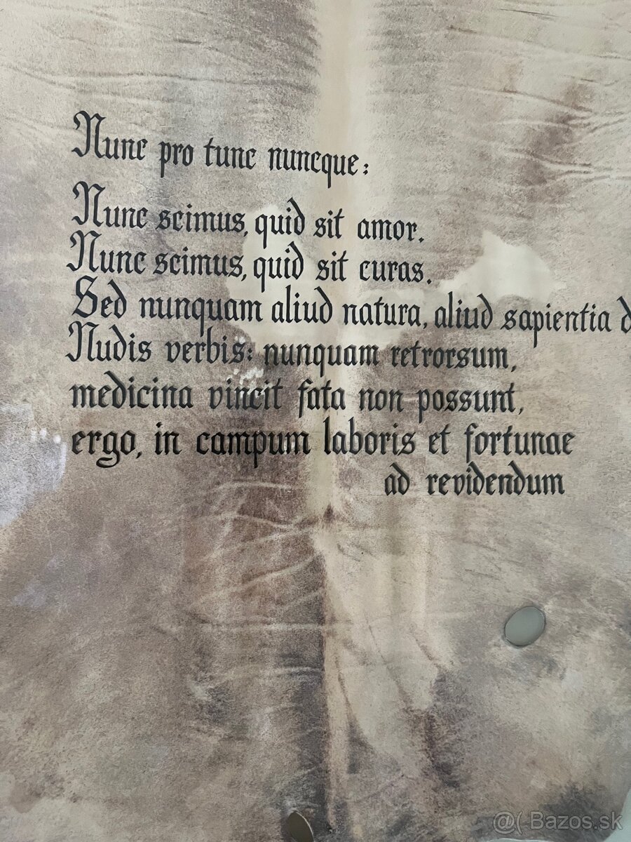 Obraz 83x57 latinský citát - 6