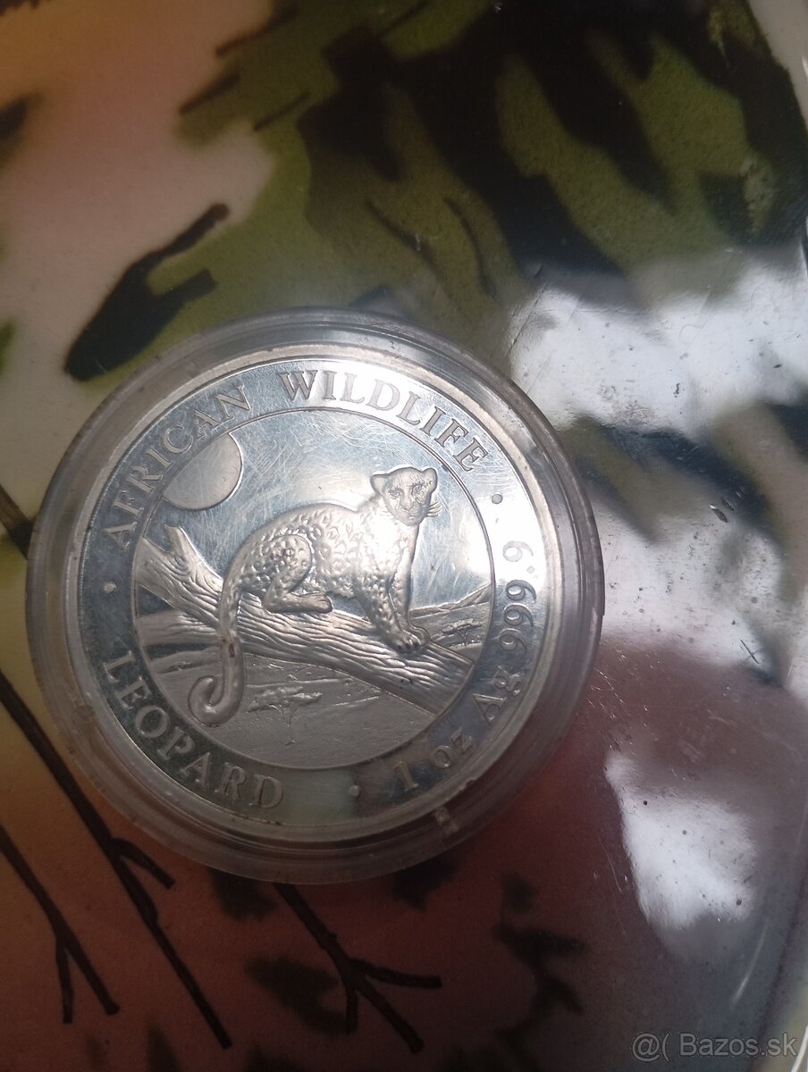 Strieborné mince - 6