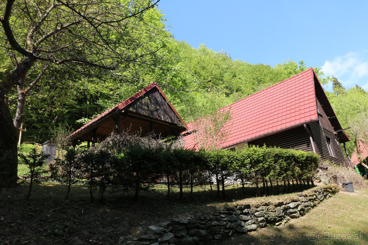 PREDAJ DREVENICE VEĽKÉ ROVNÉ - 6
