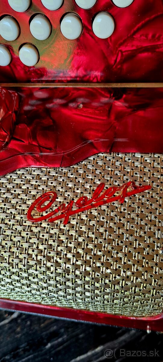 Heligónka Cyclop - 6