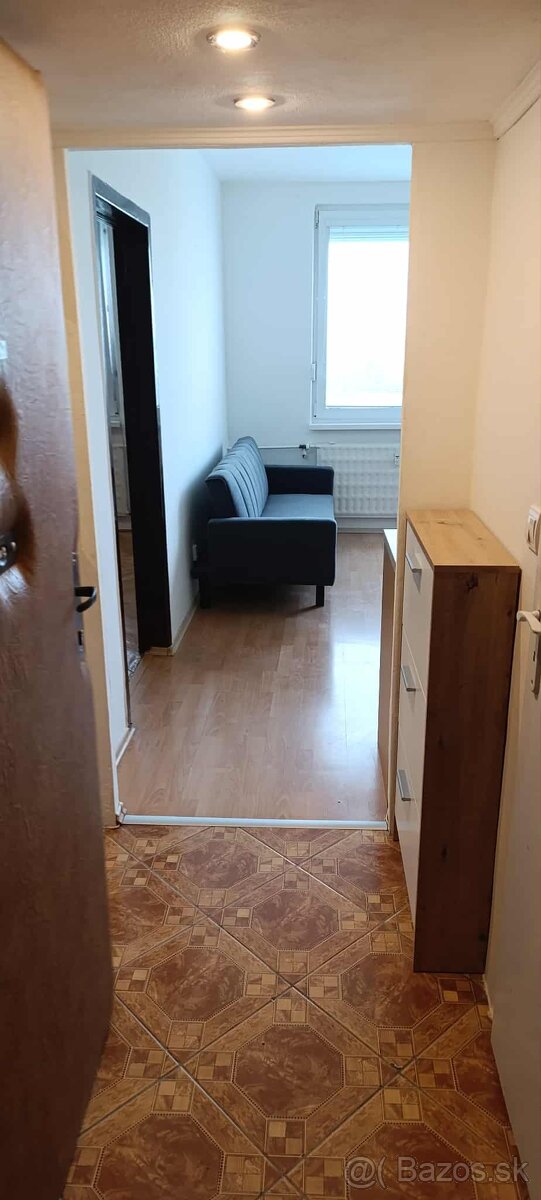 1 izbovy byt na prenajom - 6
