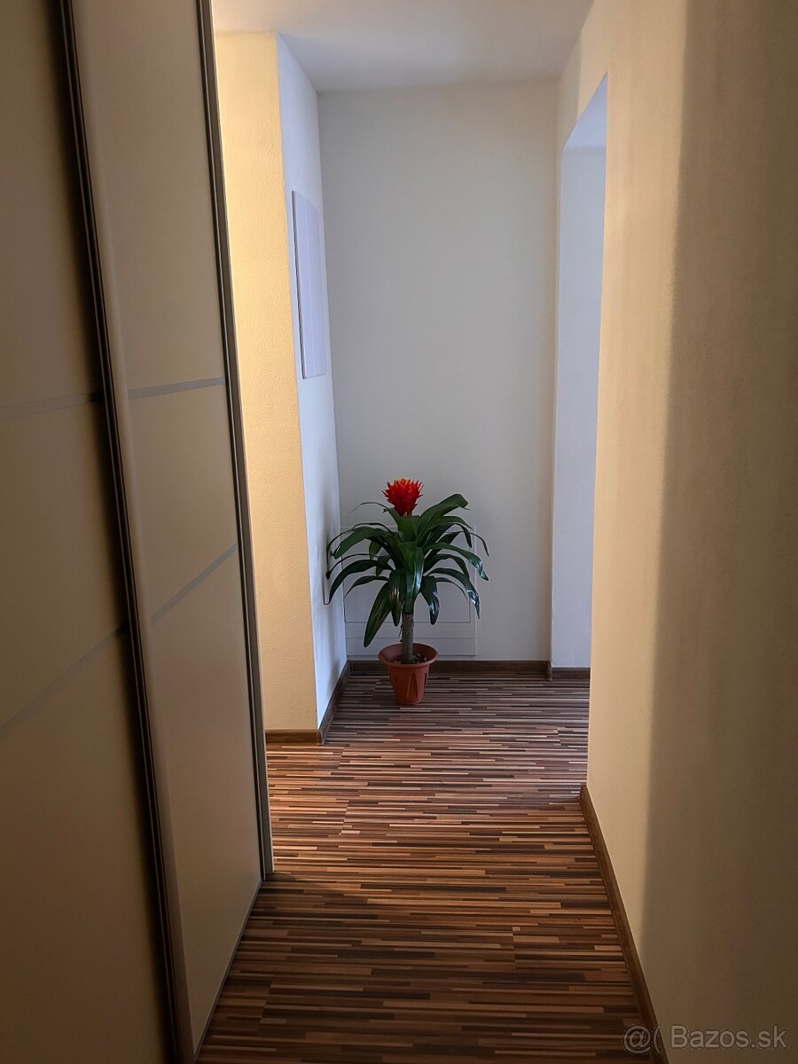 Prenajom 2 izbového bytu - 6