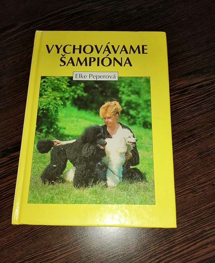 Mačky, psy, zvieratá, chov - 6