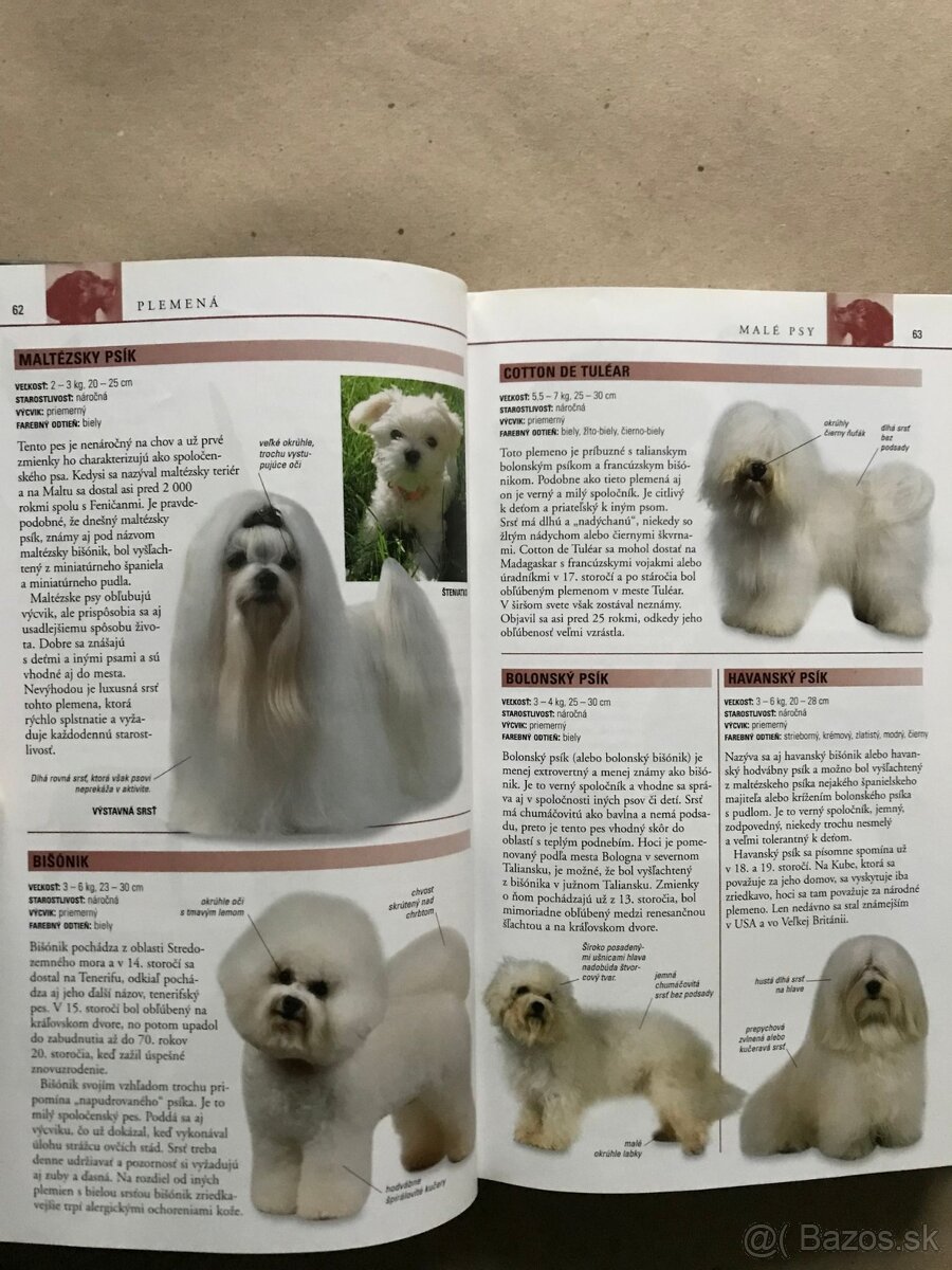 Bukovský, Psy, Golf Fyzika, Malý atlas húb, Slovenský futbal - 6