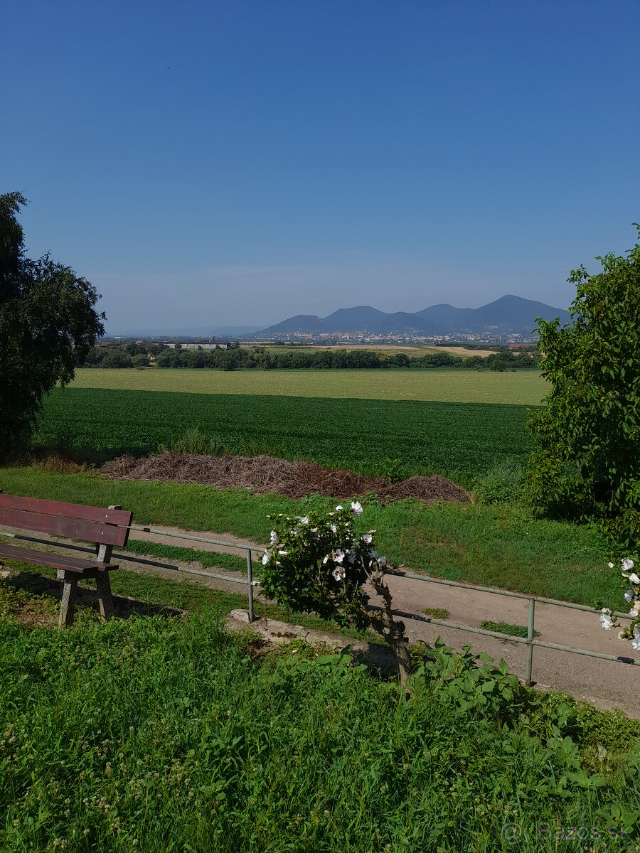 Vinohrad v Tokajskej oblasti - 6