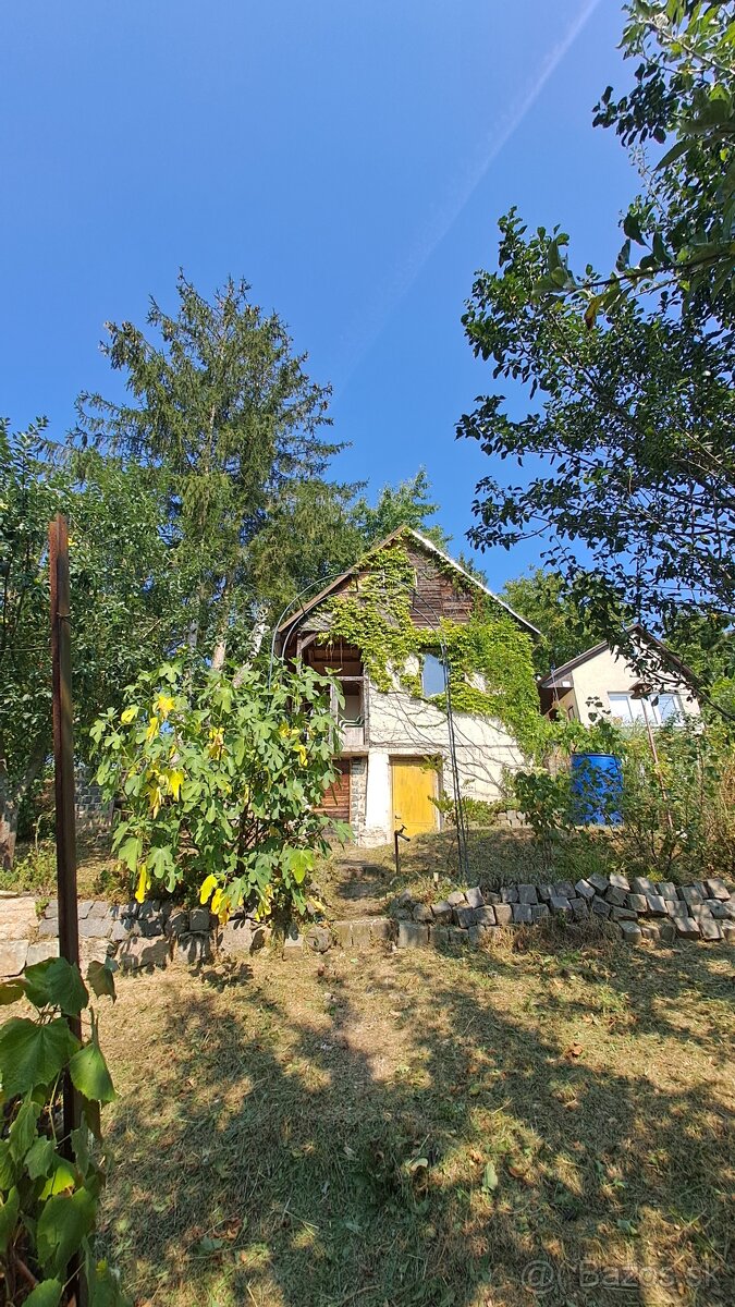 Záhrada s podpivničenou chatkou - 6