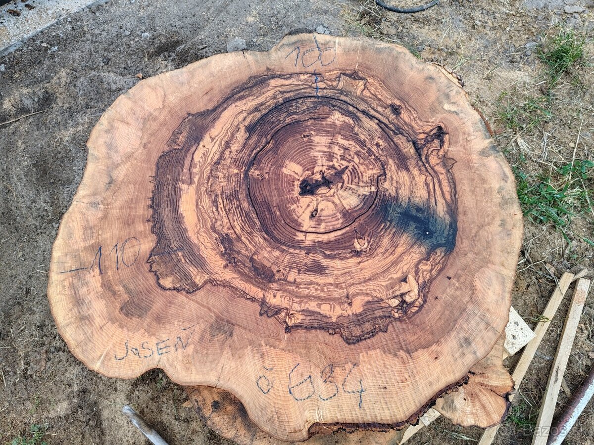 drevene koláče, priečne rezy - 6