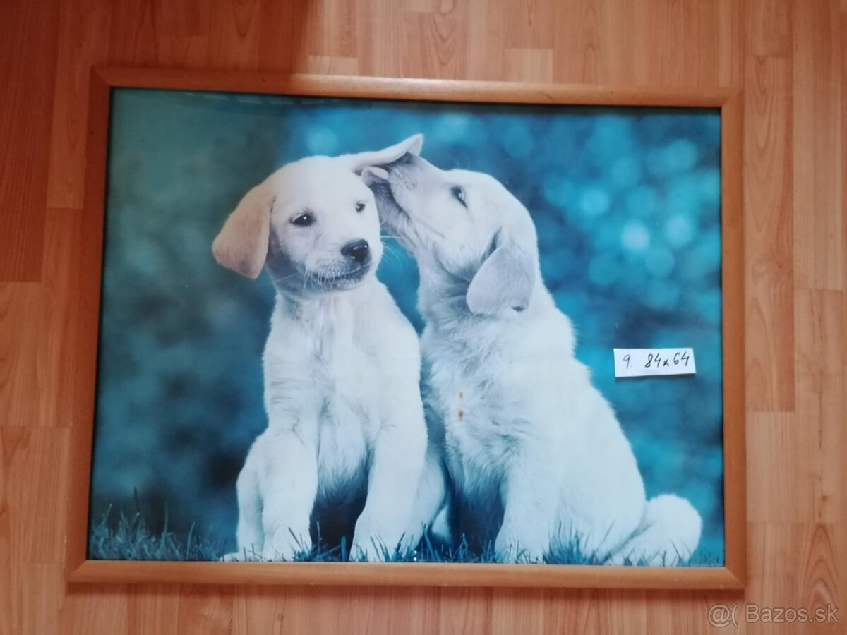 Rámy na obrazy, obrazy - 6