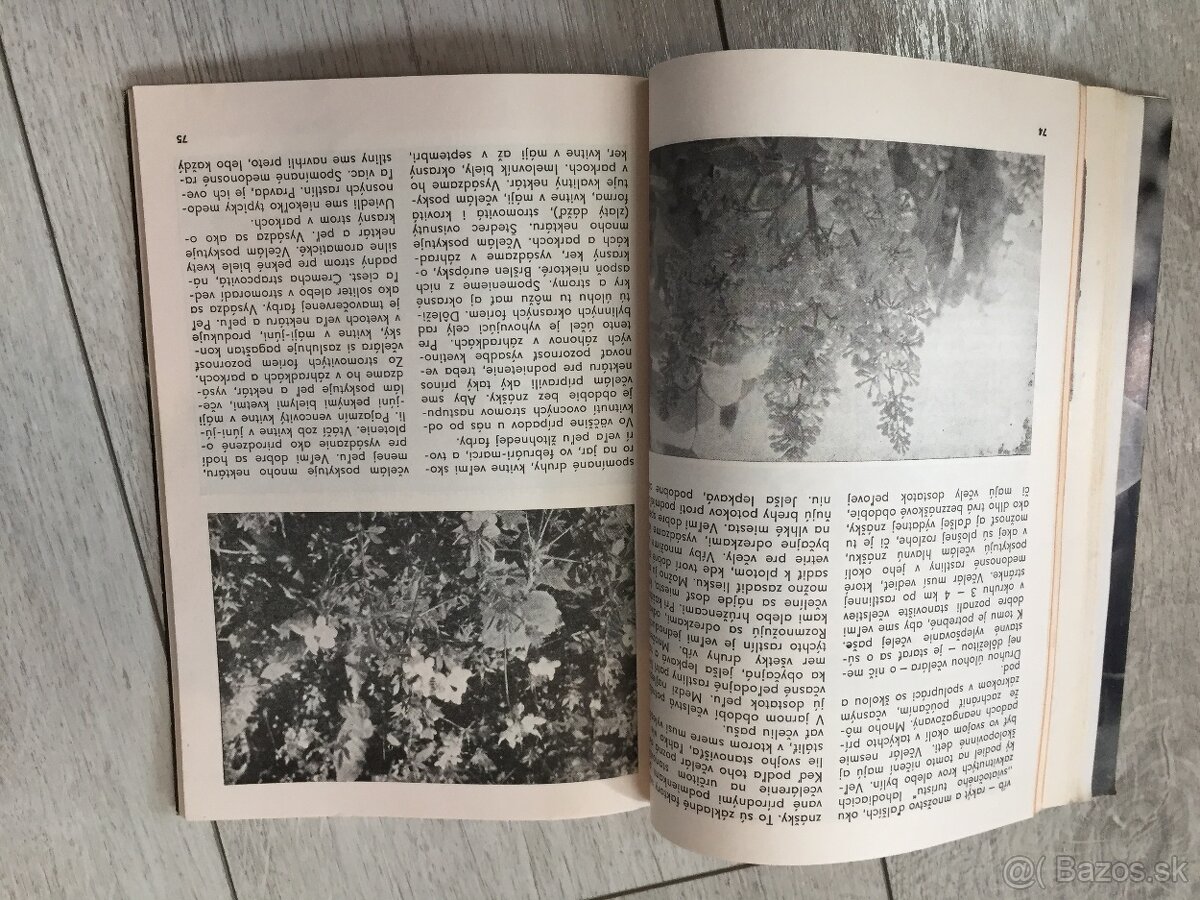 Kniha magazin včelara 1971 - 6