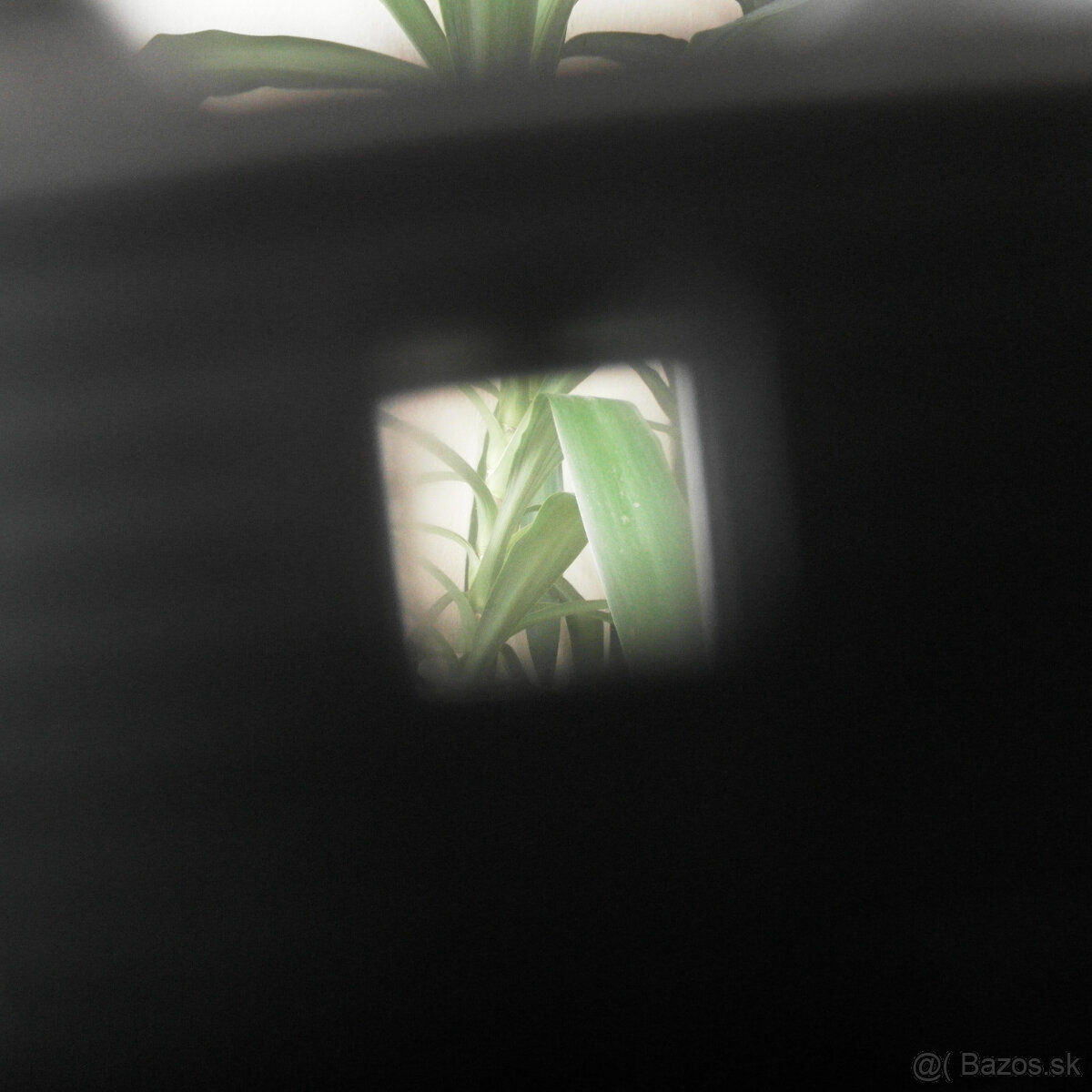 Starý fotoaparát Kodak 66 - 6